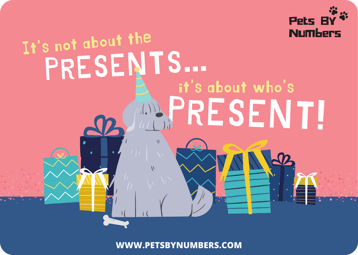 Pet Store Gift Cards Gift Cards Pets By Numbers