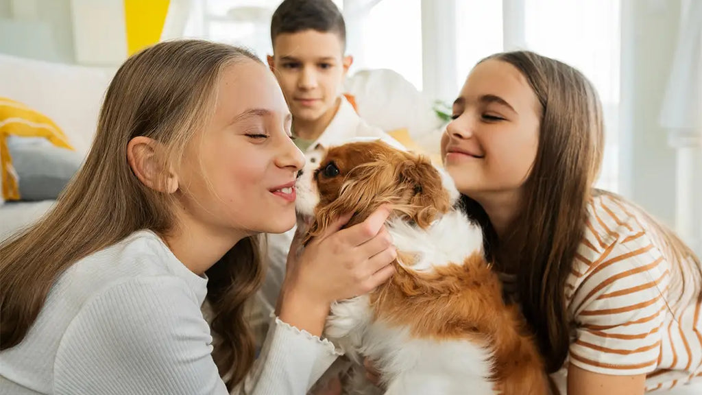 National Love Your Pet Day and National Pet Day