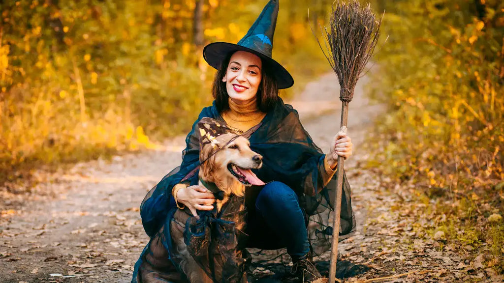 Pet Halloween costumes ideas - How many days until Halloween