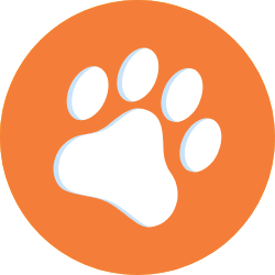 Custom Paint By Number Dog logo