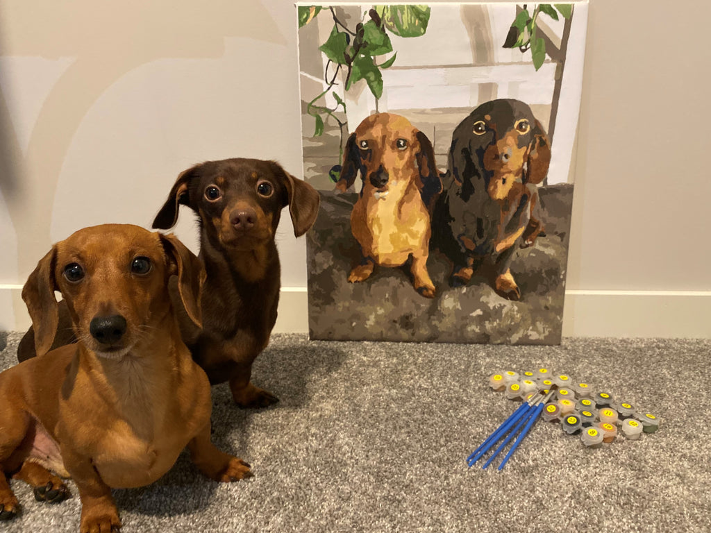 Custom Paint By Numbers Kit - Pets By Numbers