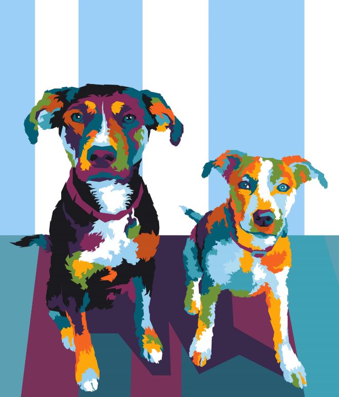 Studio Sensations Pop Art Dog Canvas Painting Kit