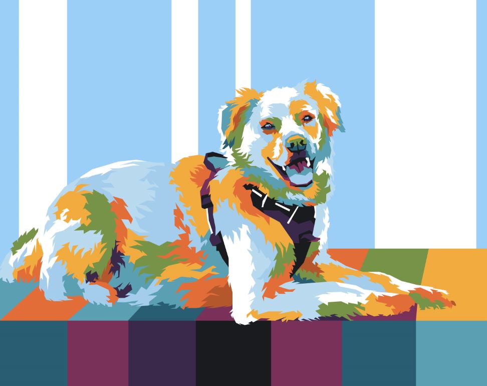 Pop Art By Numbers - Pets By Numbers