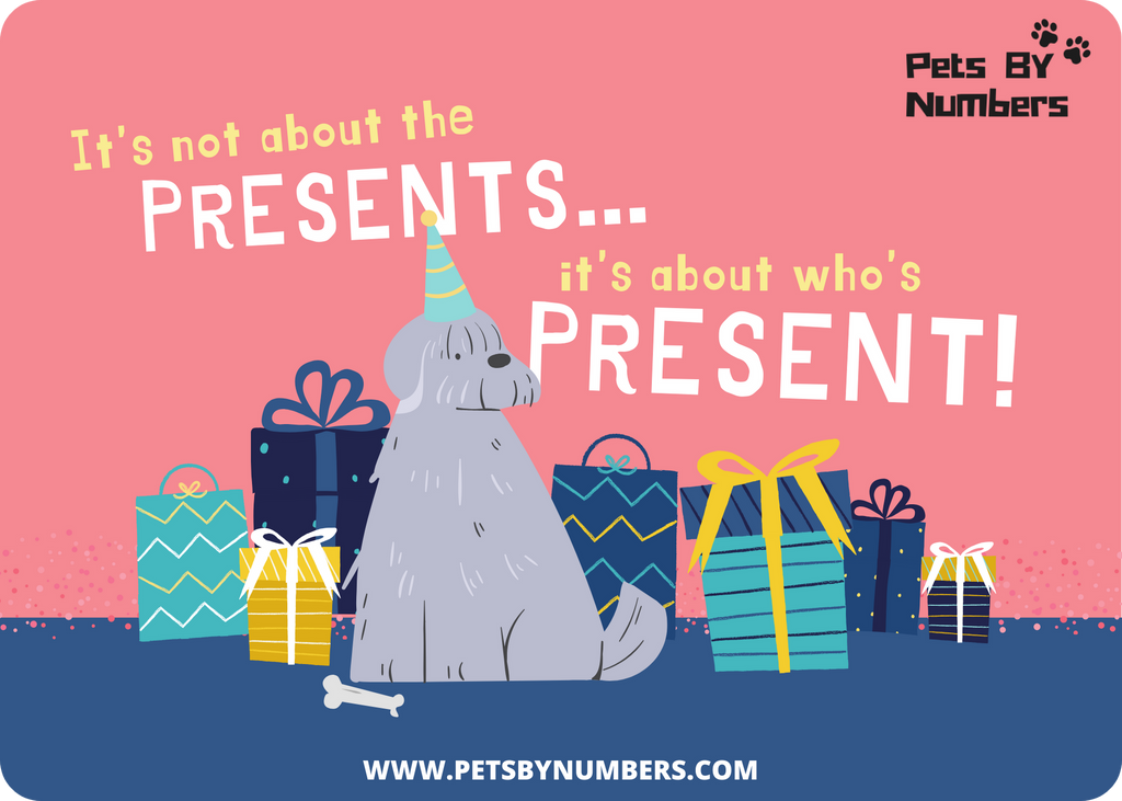 PetsByNumbers eGift Card - Pets By Numbers