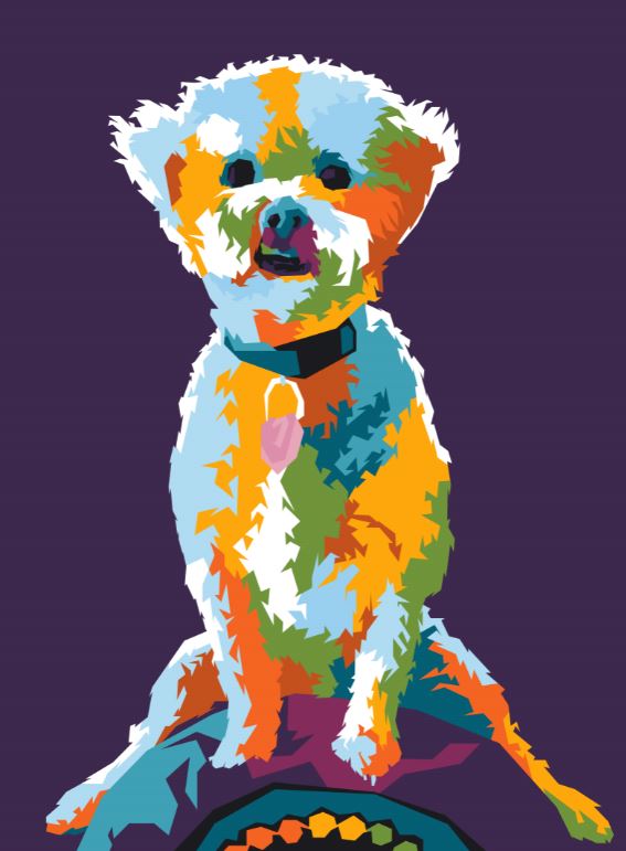  Personalized pet Photos DIY Paint by Number Kits